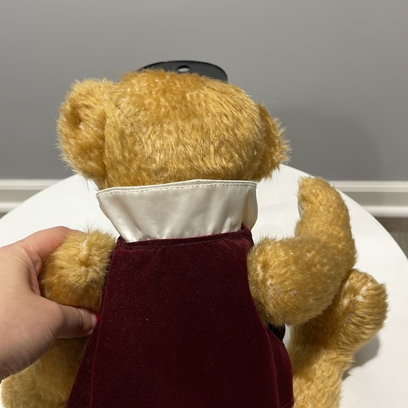 Dandee Collector's Edition 100th Anniversary 1902-2002 Teddy Roosevelt Bear - Picture 11 of 13
